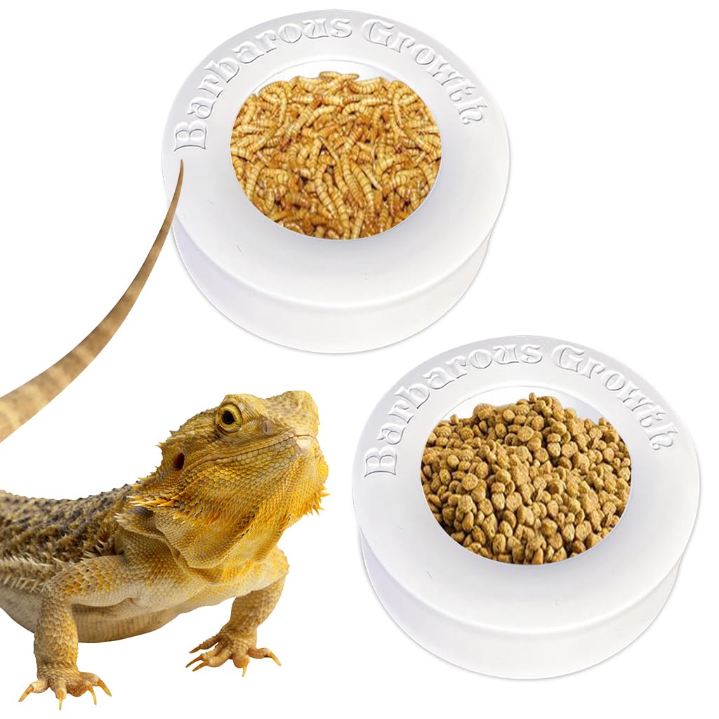 Qpets Pets Food Boxes, PP Feeding Bowl for Reptiles Bearded Dragons Leopard Geckos Feeding Box for Worms, Insects, Anti-Leakage Feeding Box Water Bowl - 2Pcs Qpets Pets Food Boxes, PP Feeding Bowl for Reptiles Bearded Dragons Leopard Geckos Feeding Box for Worms, Insects, Anti-Leakage Feeding Box Water Bowl - 2Pcs